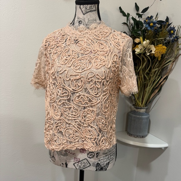 Zara Tops - Zara Embroidered Roping Embellished Boxy Shear Tan Lace Blouse size Large